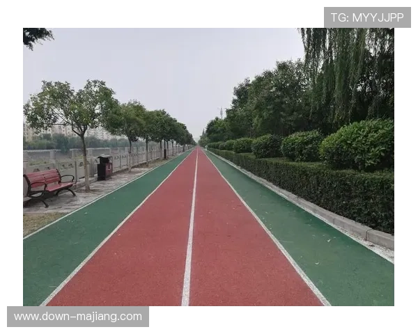 商洛规划“秦岭排球季”，四年赛事引流目标超百万人次